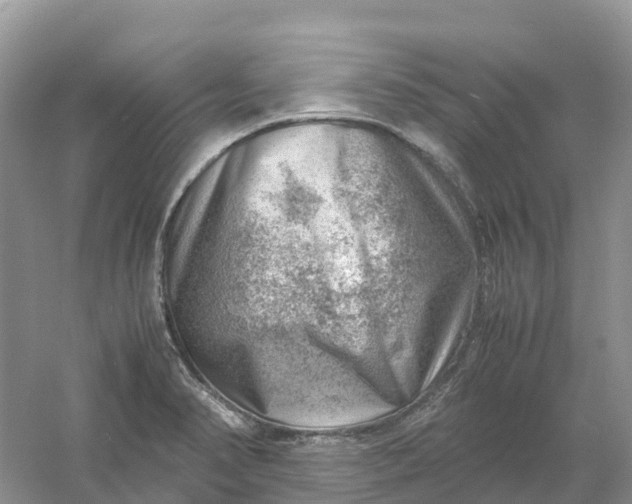 X0000061111374200512022114