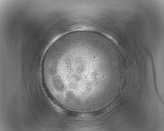 X0000061111375200512022114