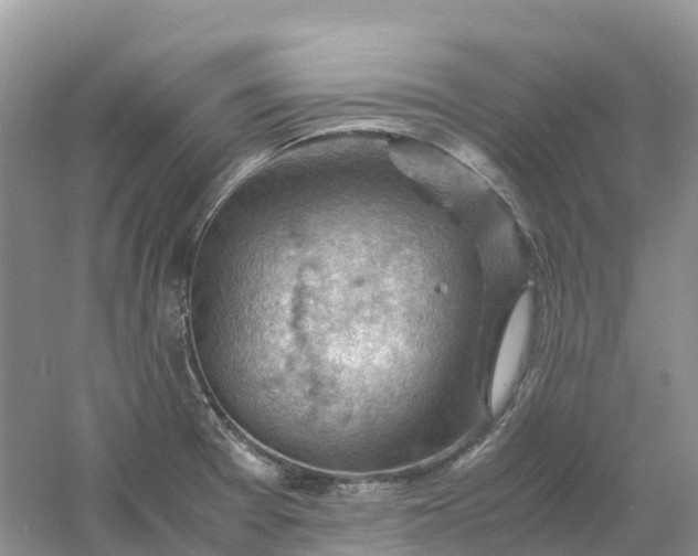 X0000061111377200512022114