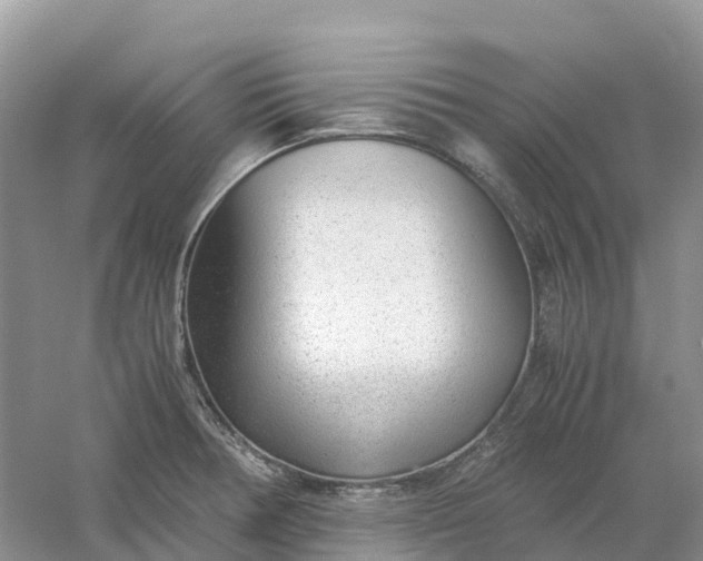 X0000061111378200512022114