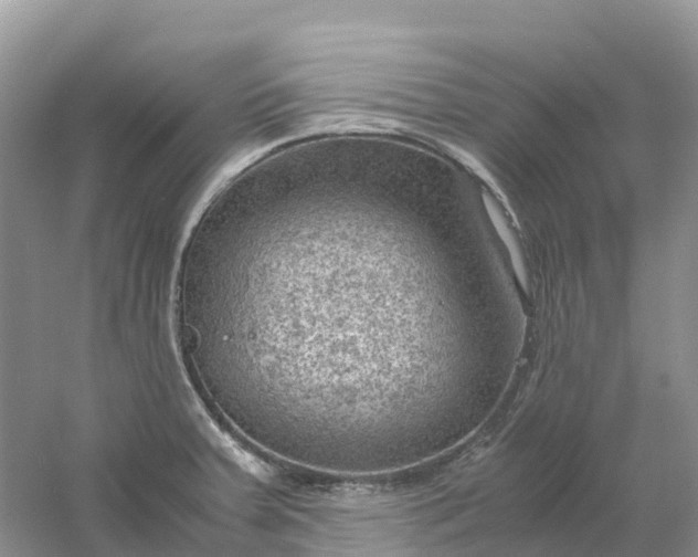 X0000061111379200512022114