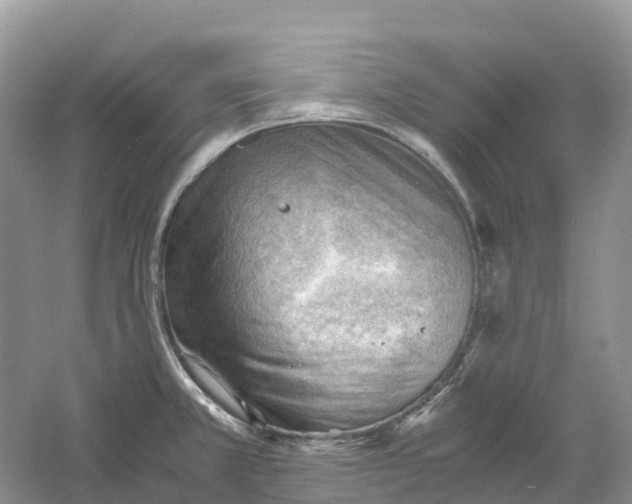 X0000061111381200512022114