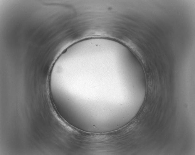 X0000061111382200512022114