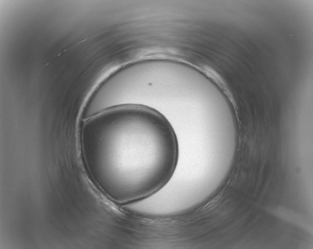 X0000061111384200512022114