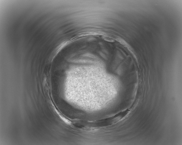 X0000061111385200512022114