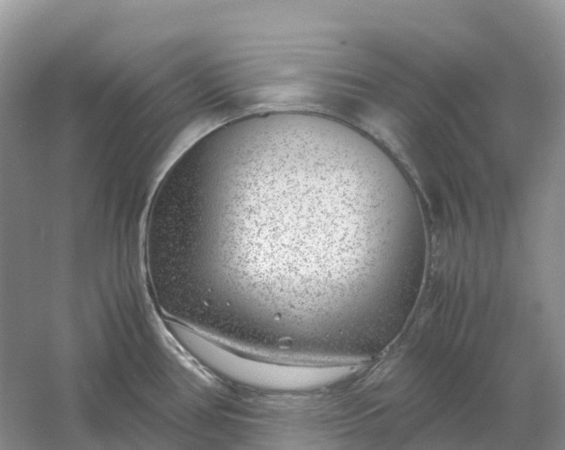 X0000061111386200512022114