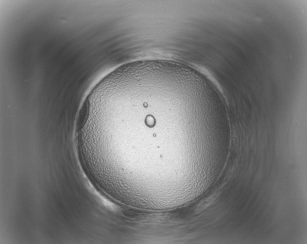 X0000061111387200512022114