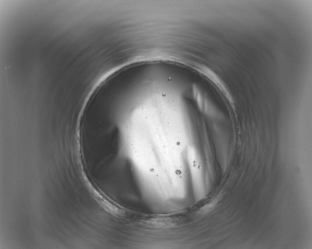 X0000061111388200512022114