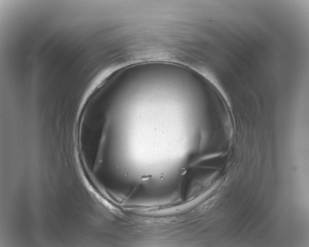 X0000061111389200512022114