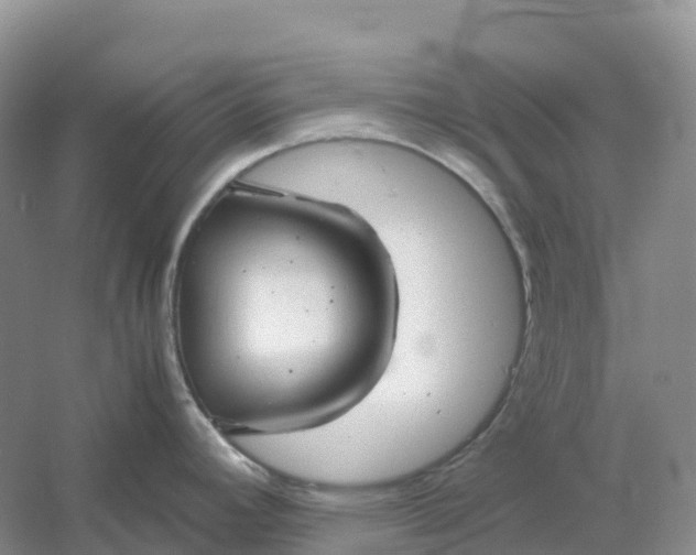 X0000061111392200512022114