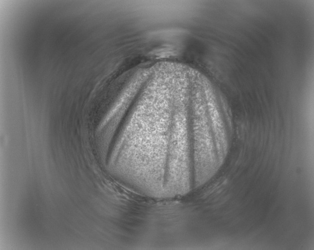 X0000061111393200512022113