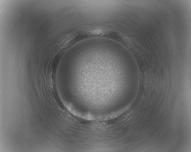 X0000061111394200512022113