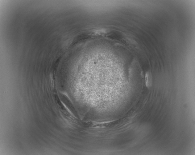 X0000061111395200512022113