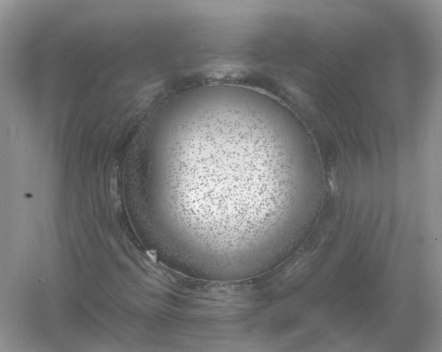 X0000061111396200512022113