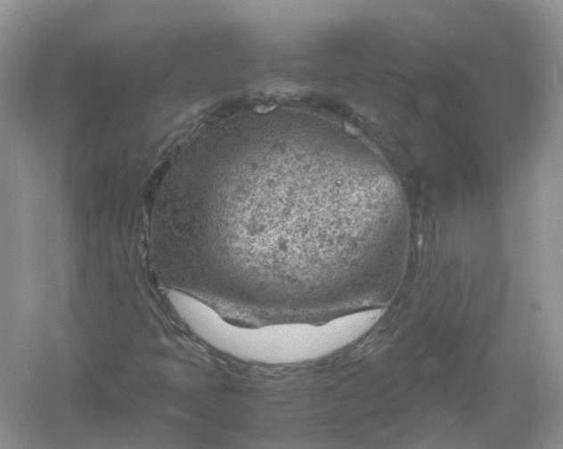 X0000061111397200512022113