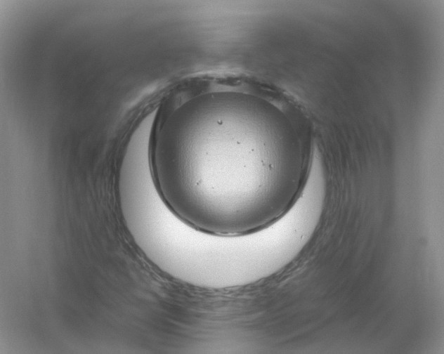 X0000061111398200512022113