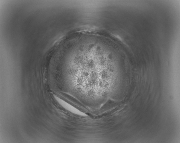 X0000061111399200512022113