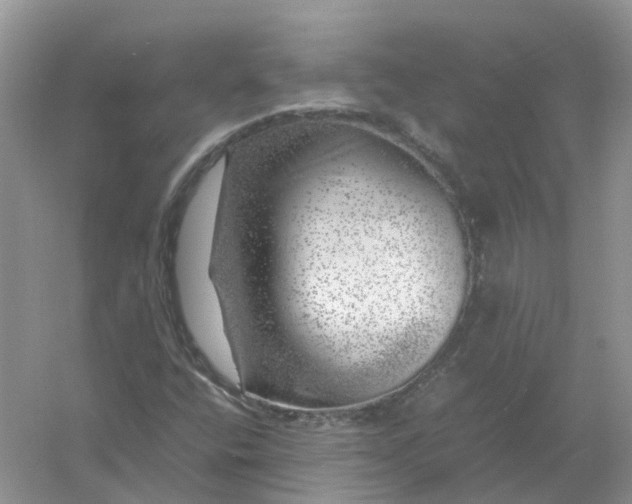 X0000061111400200512022113