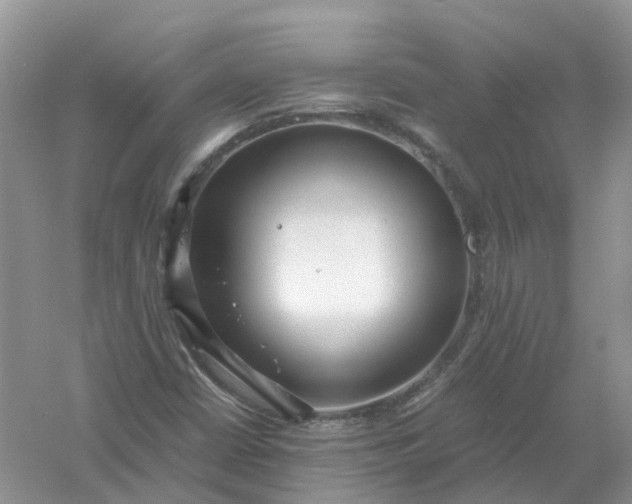 X0000061111402200512022113