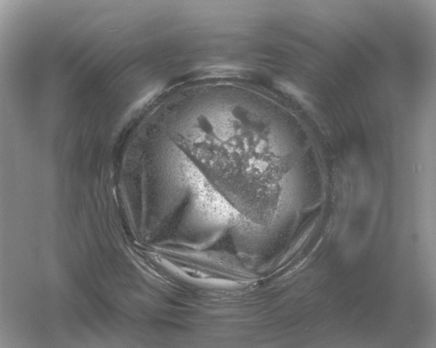 X0000061111403200512022113