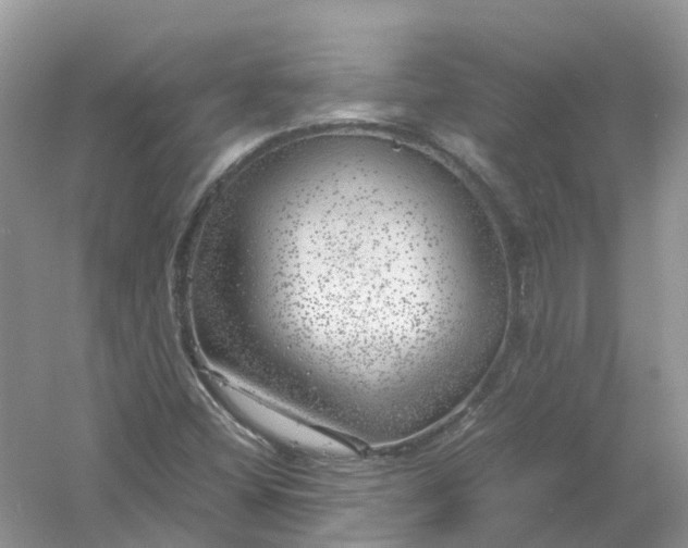 X0000061111404200512022113