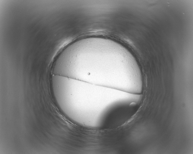 X0000061111405200512022113