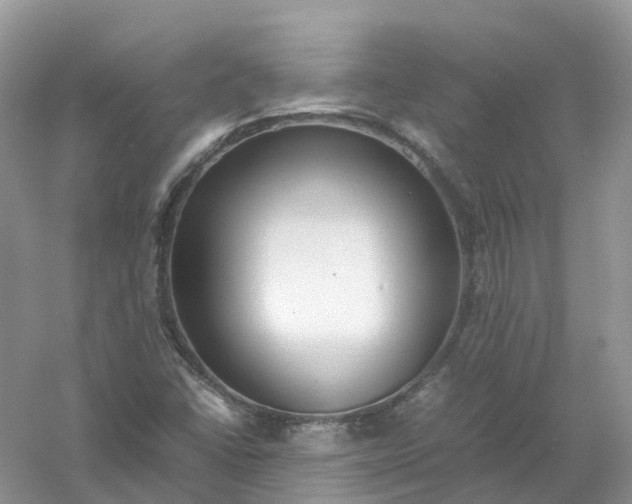 X0000061111406200512022113