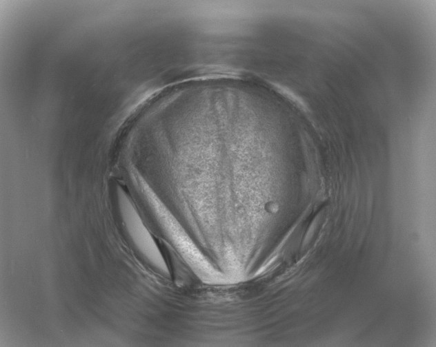 X0000061111407200512022113