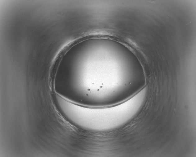 X0000061111408200512022113