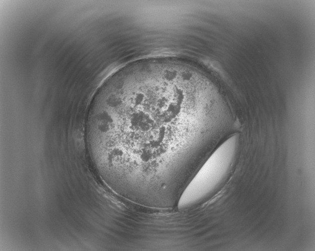 X0000061111409200512022113