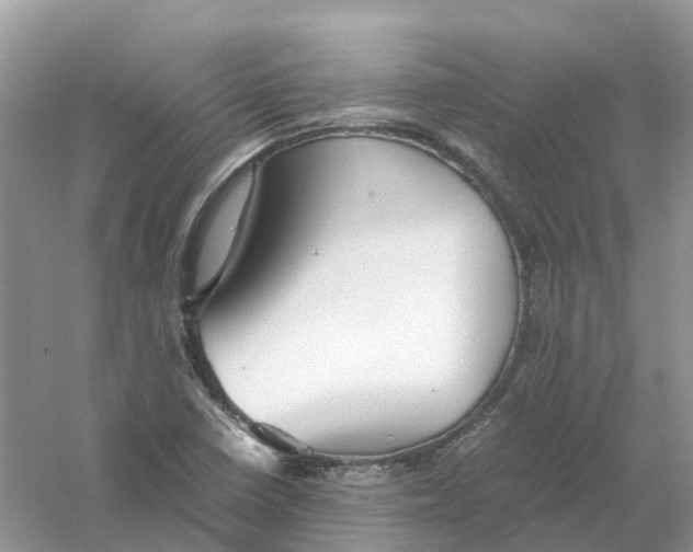 X0000061111410200512022113