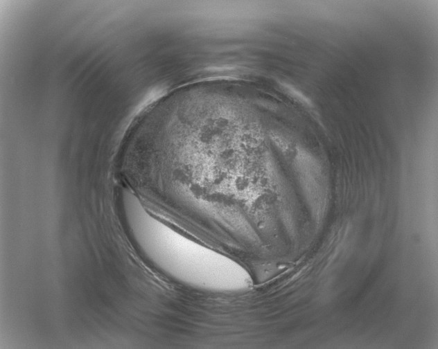 X0000061111411200512022113