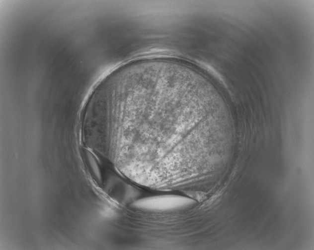 X0000061111413200512022113