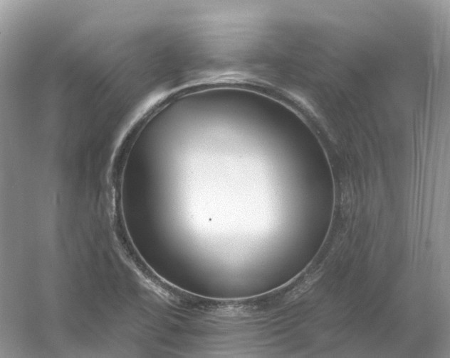 X0000061111414200512022113