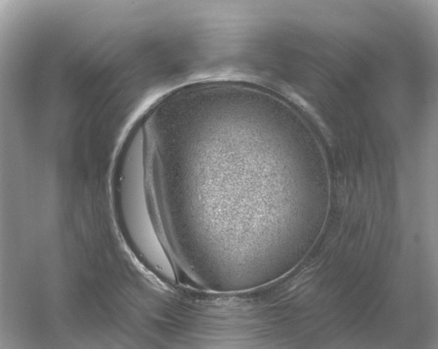 X0000061111416200512022113