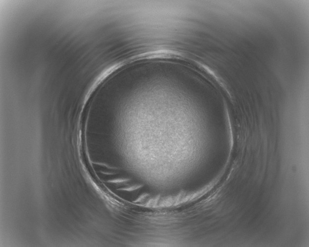 X0000061111418200512022113