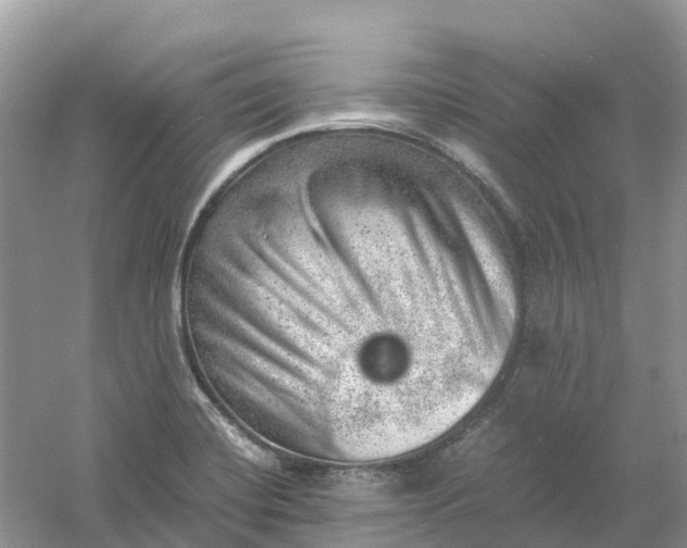 X0000061111420200512022113