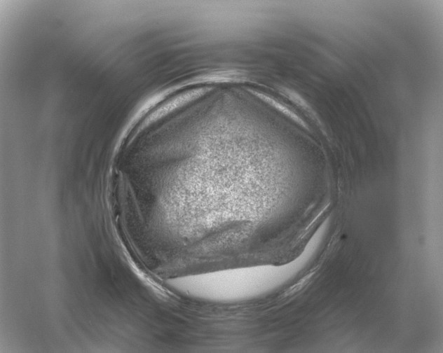 X0000061111421200512022113