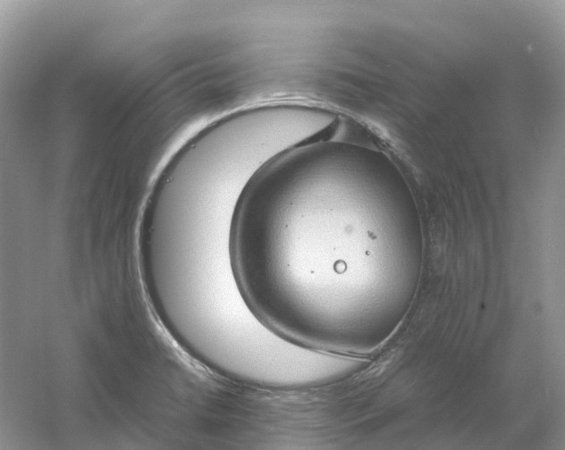 X0000061111422200512022113