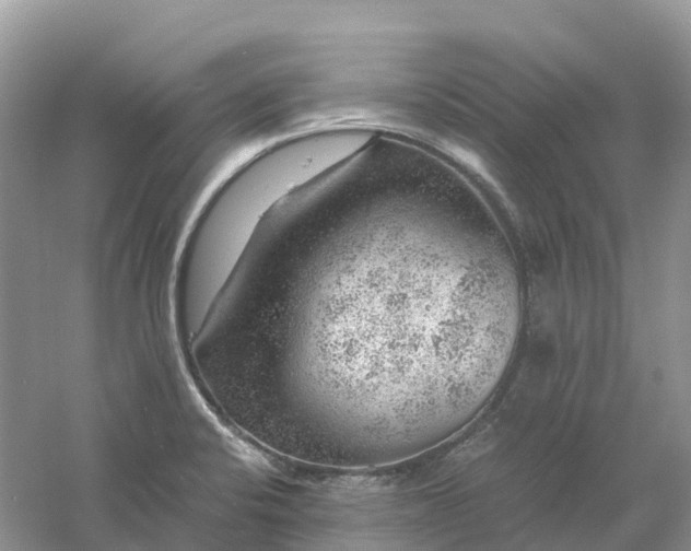 X0000061111424200512022113