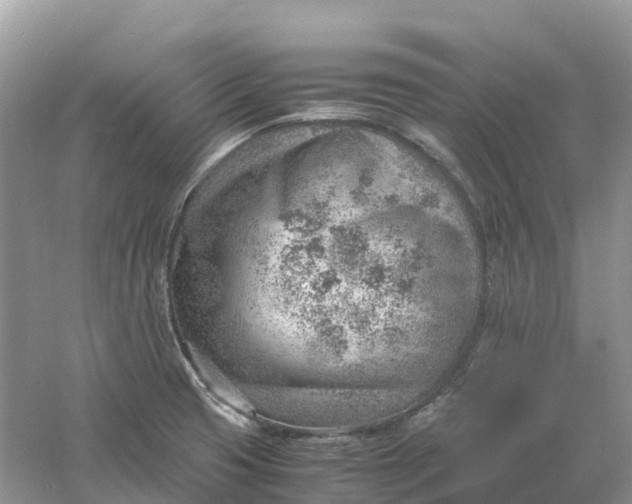 X0000061111425200512022113