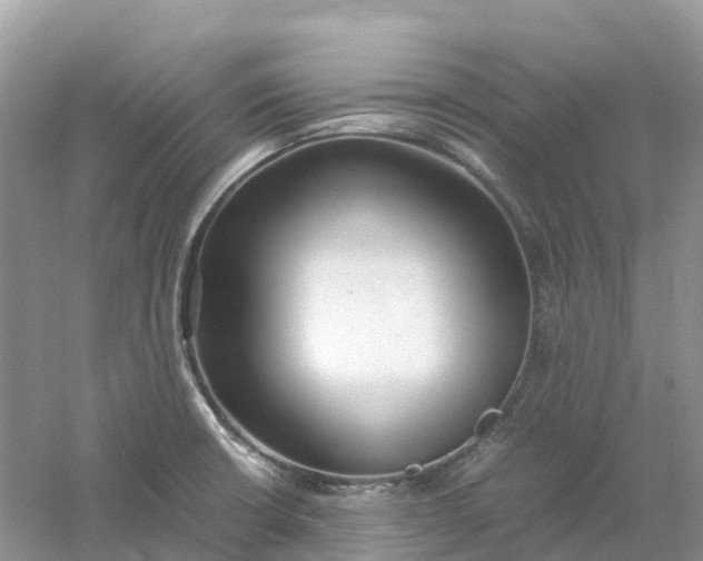 X0000061111426200512022113