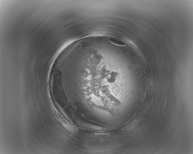 X0000061111427200512022113