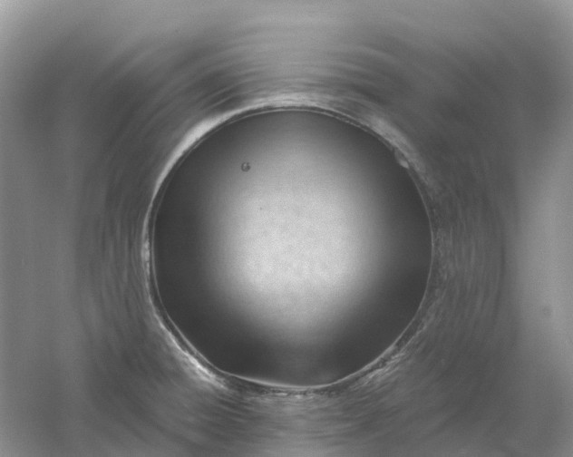 X0000061111428200512022113