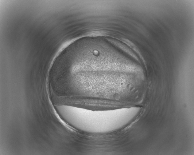 X0000061111429200512022113