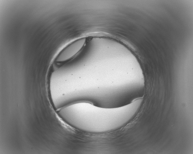 X0000061111430200512022113