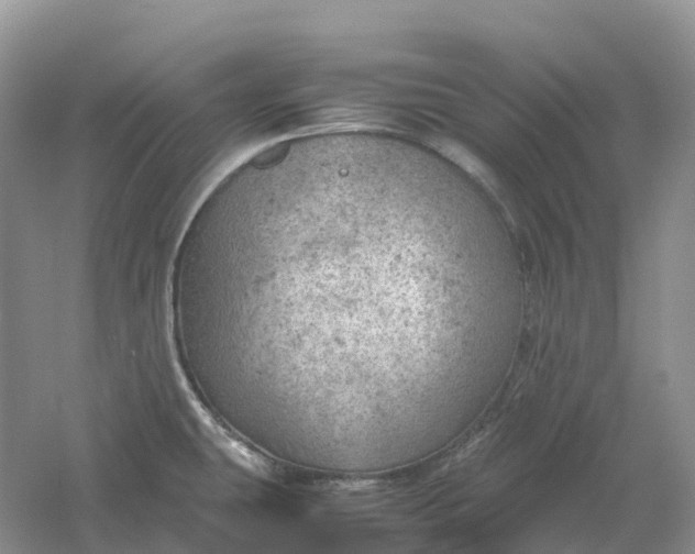 X0000061111431200512022113