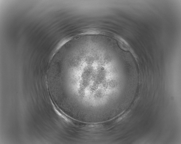 X0000061111433200512022114