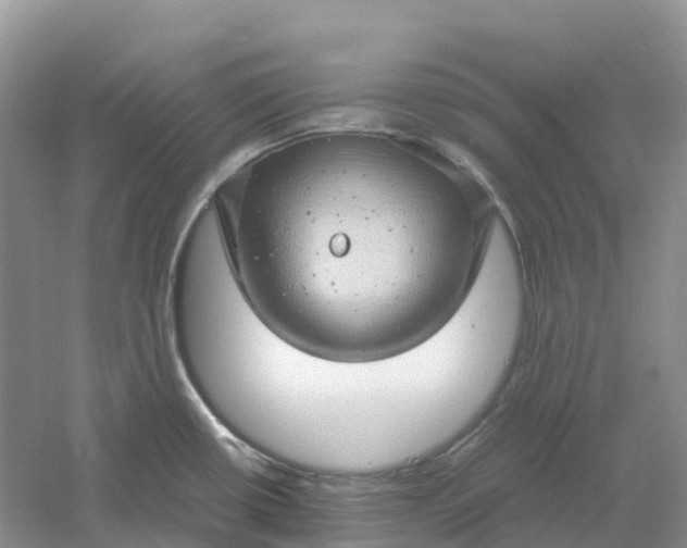 X0000061111434200512022114