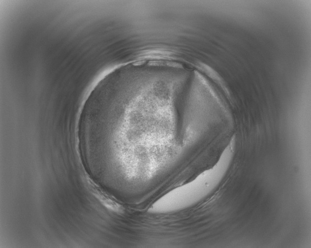 X0000061111435200512022114